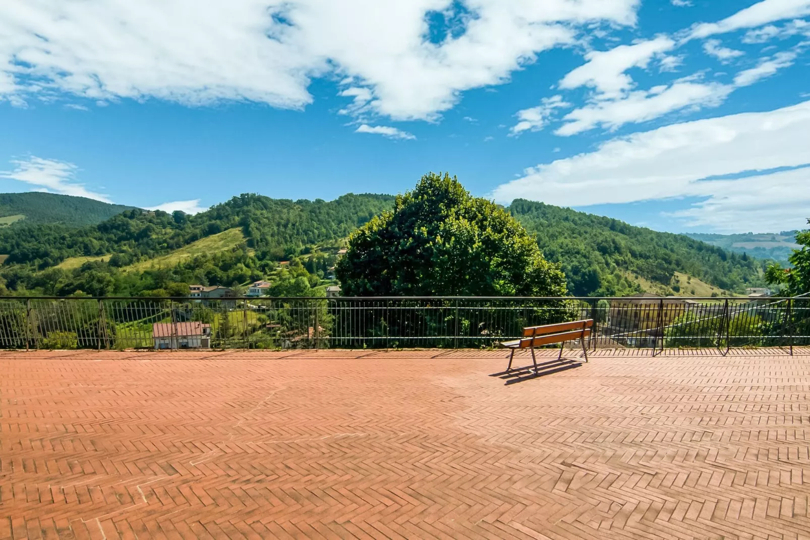 Porcini-View summer