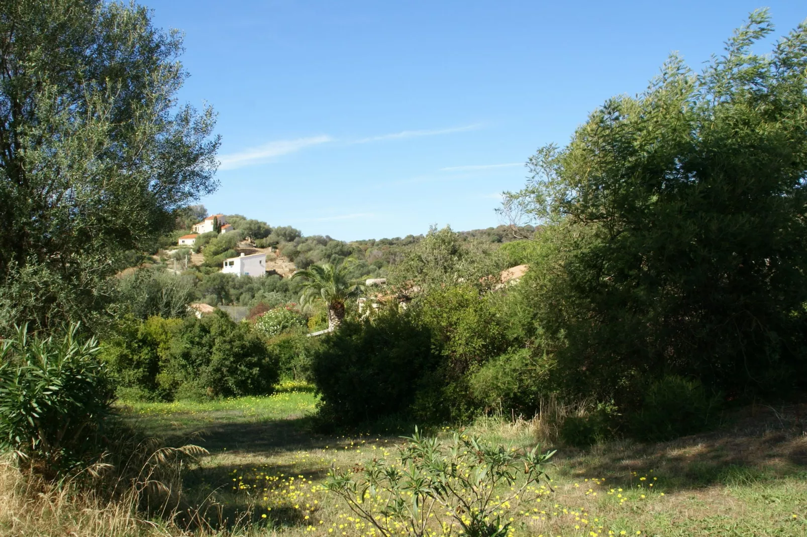 Les Nereides-Areas summer 1km