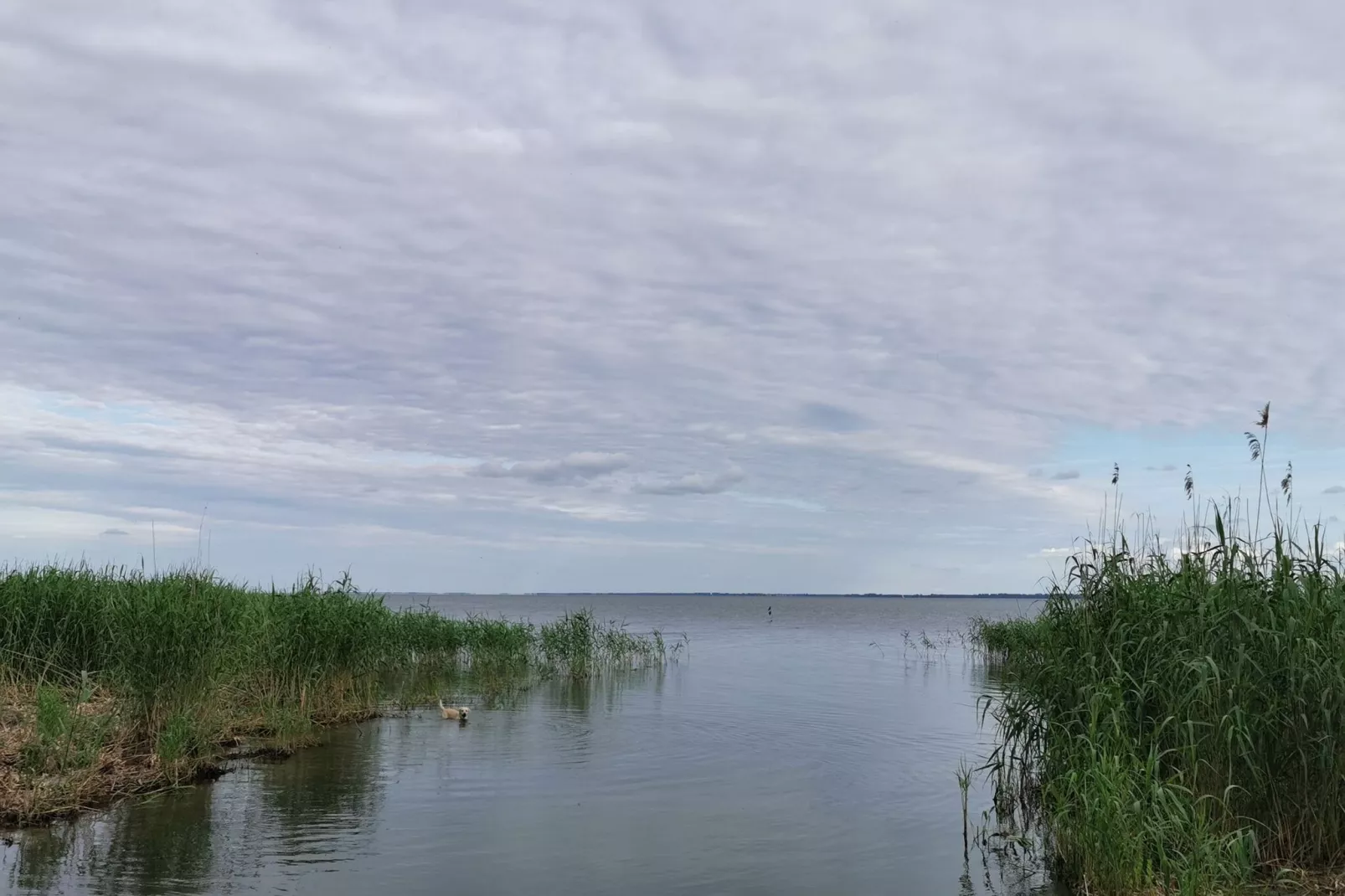 Urlaub auf der Insel Usedom-Areas summer 1km