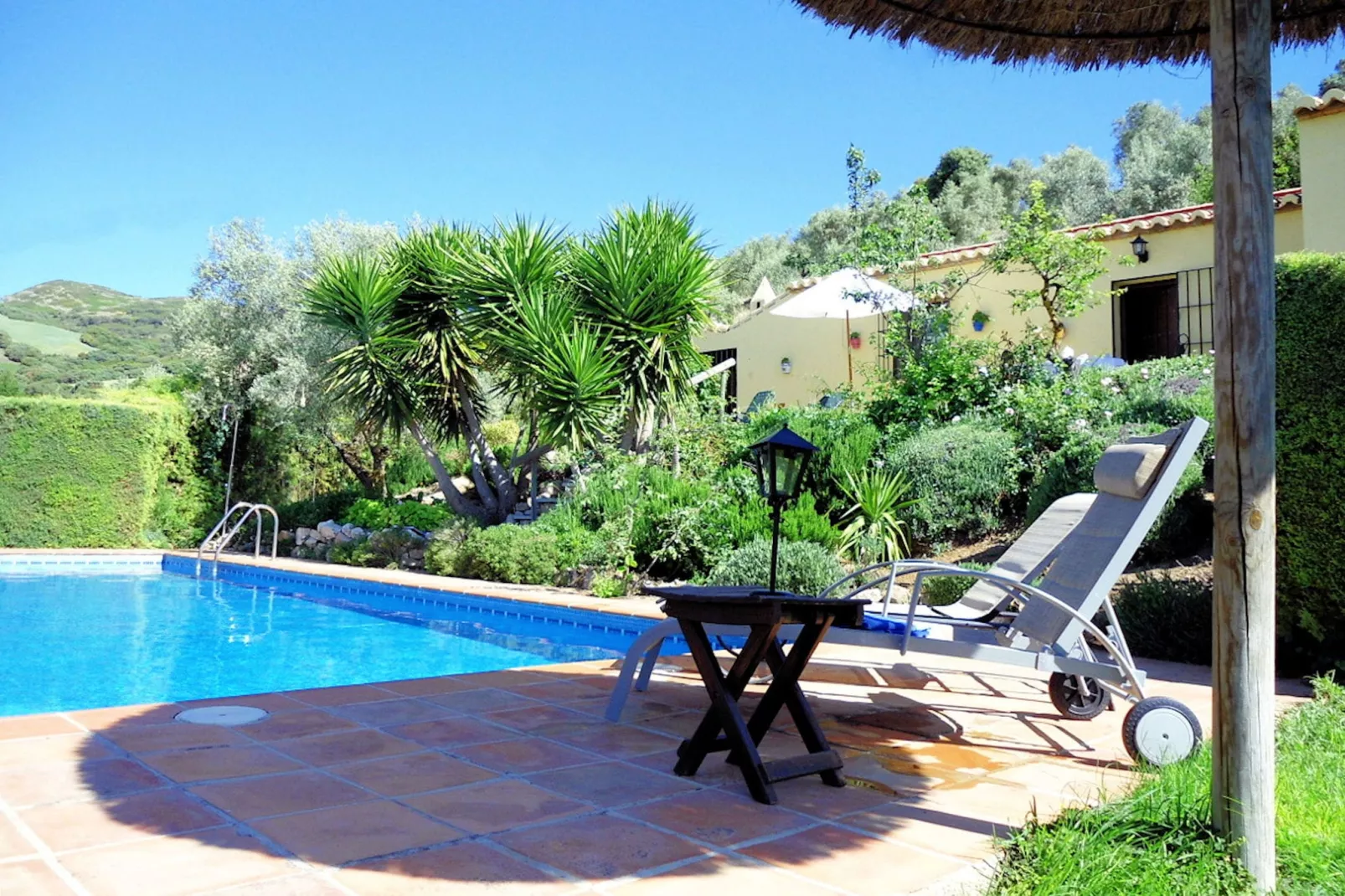 Finca las Chozas-Pool