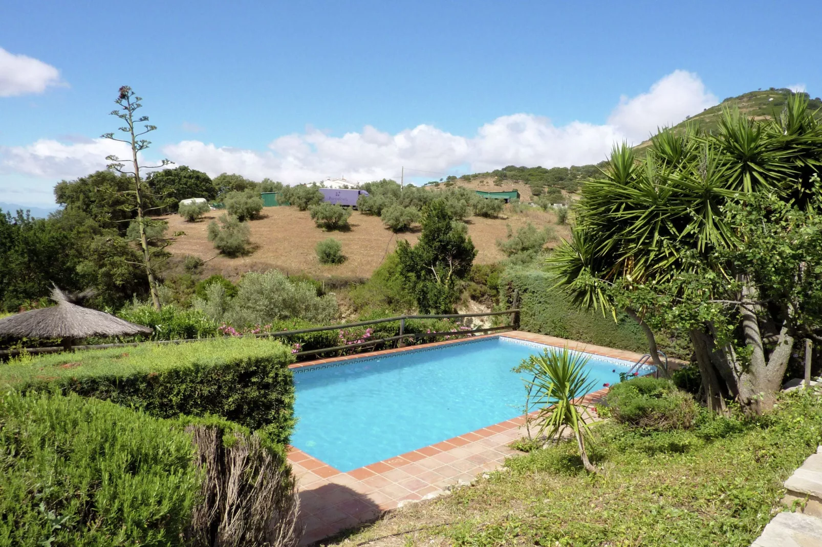 Finca las Chozas-Pool