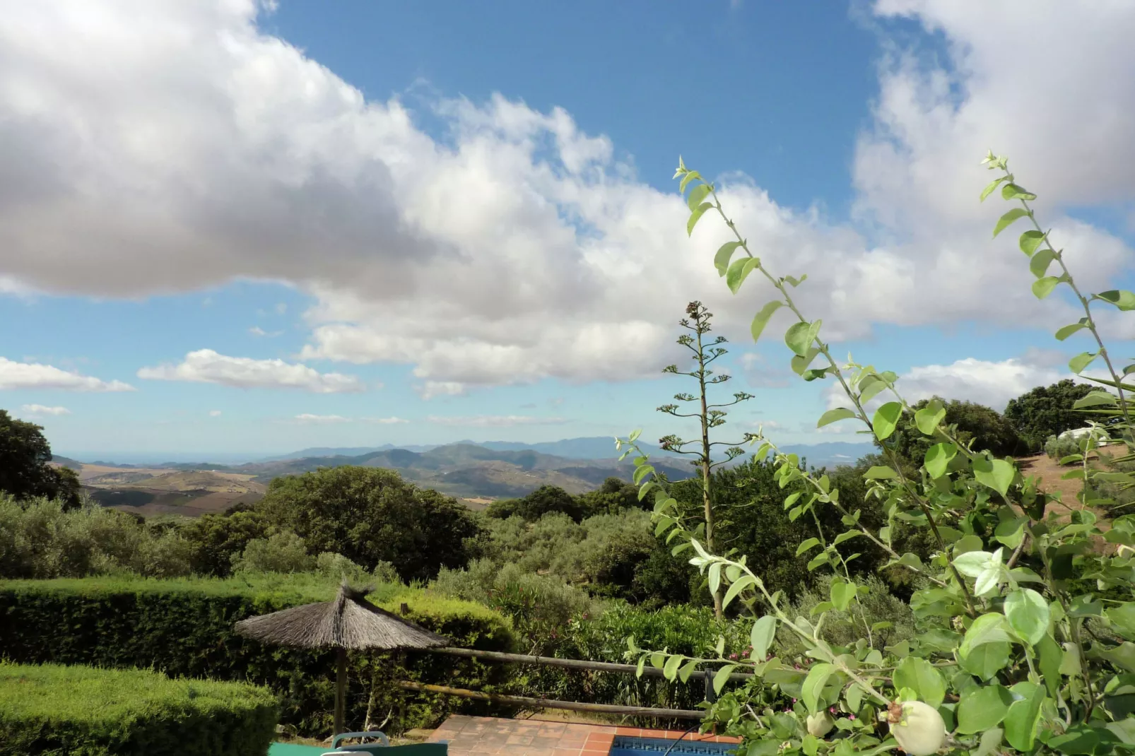 Finca las Chozas-View summer