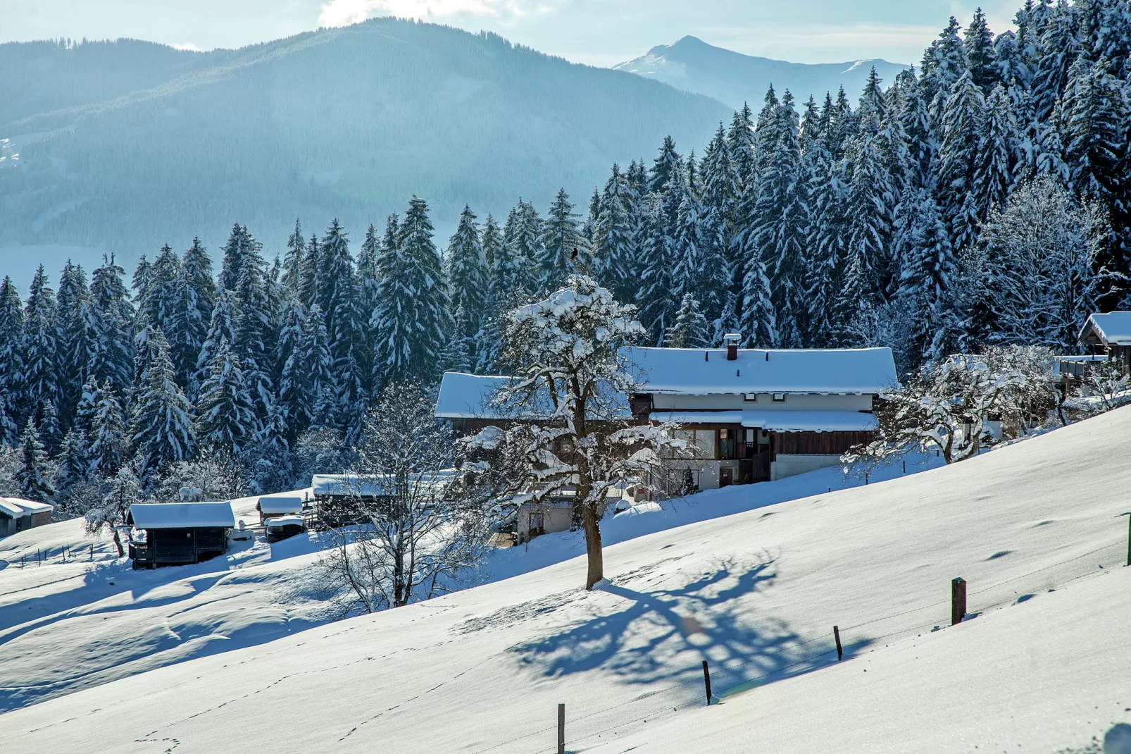 Appartement Riedmann-Exterior winter