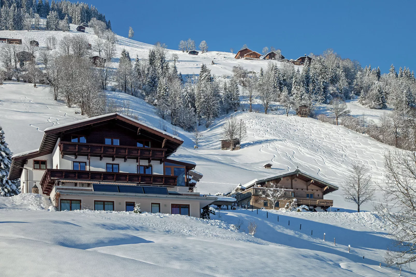 Appartement Riedmann-Exterior winter