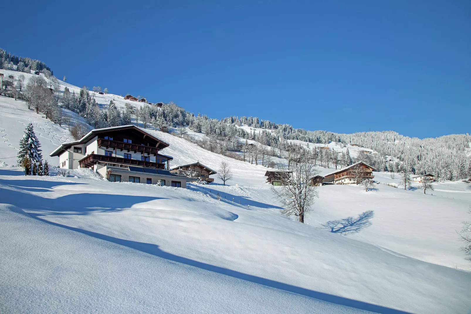 Appartement Riedmann-Exterior winter