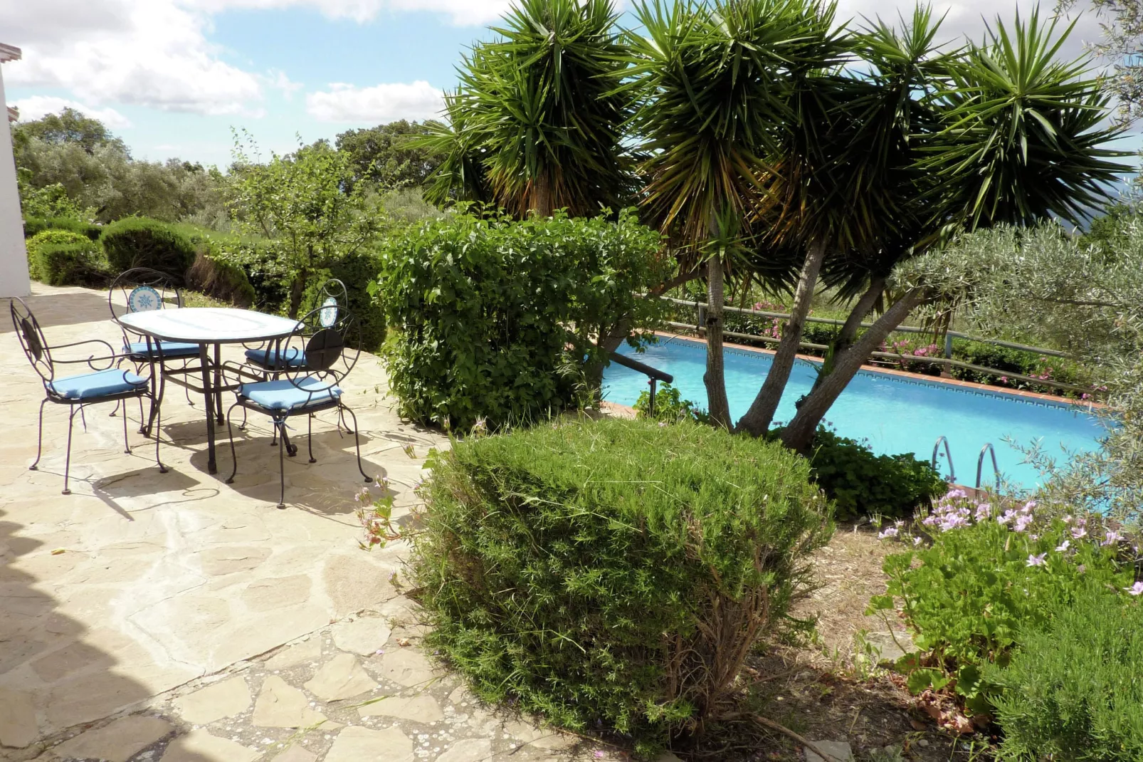 Finca las Chozas-Gardens summer