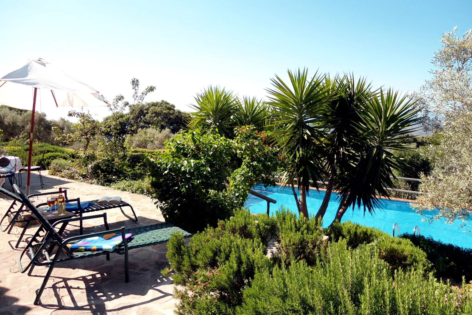 Finca las Chozas-Gardens summer