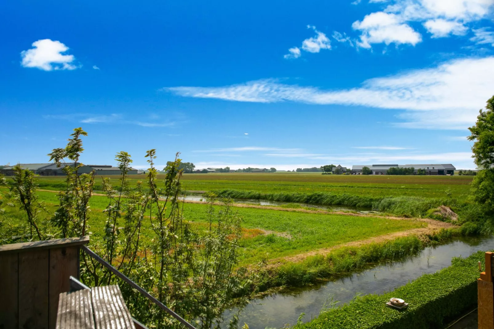 Zilte Bries-View summer
