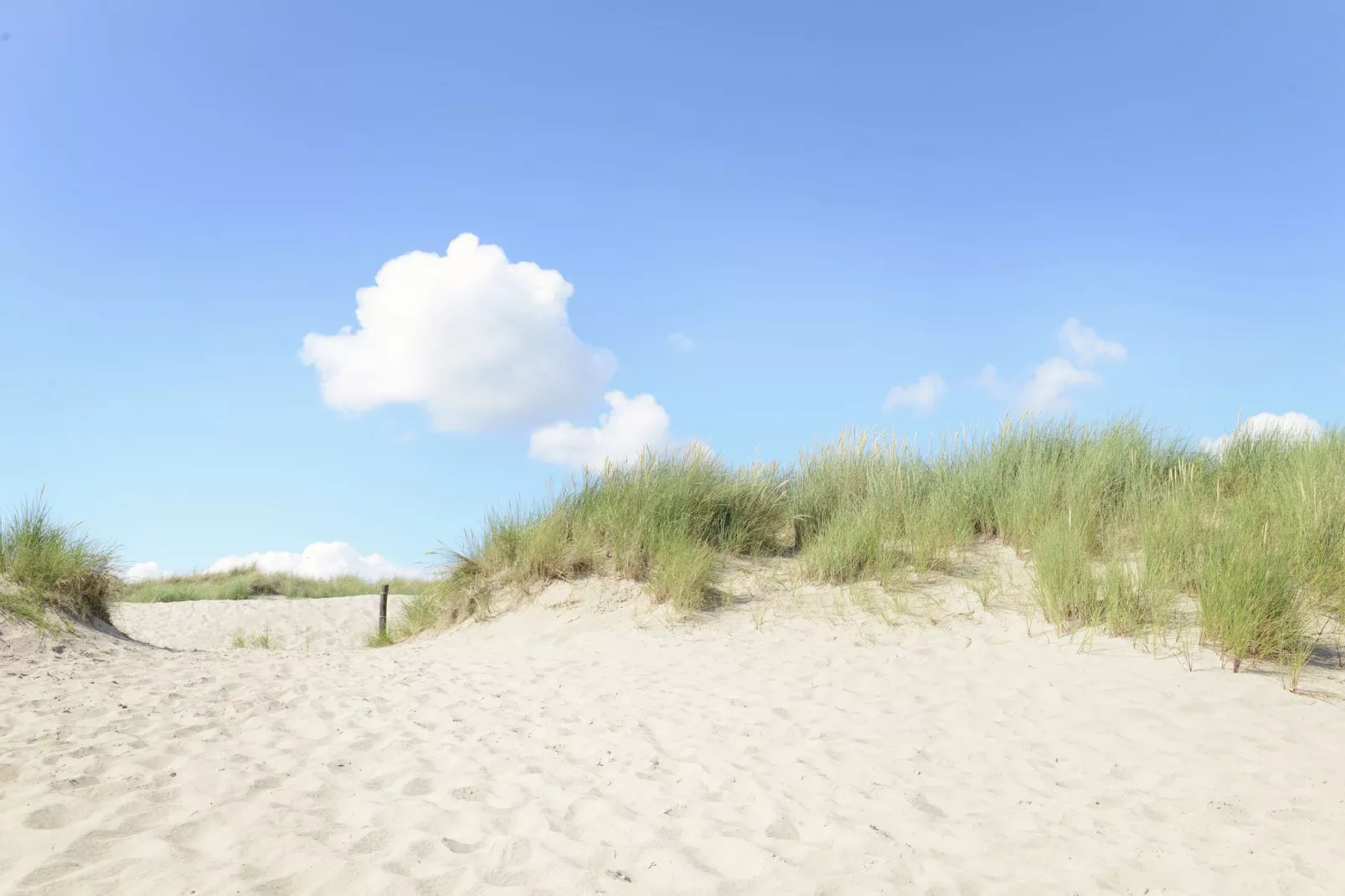 Zilte Bries-Areas summer 20km