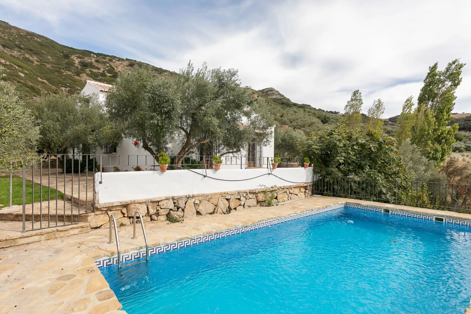 Cortijo Los Olivos-Pool