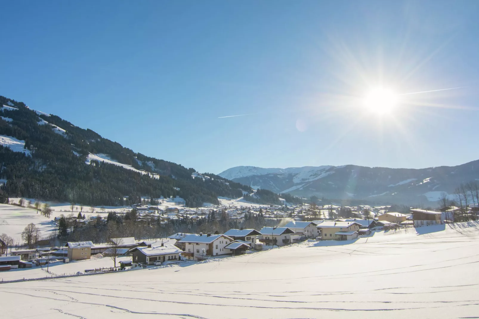 Reinie-View winter