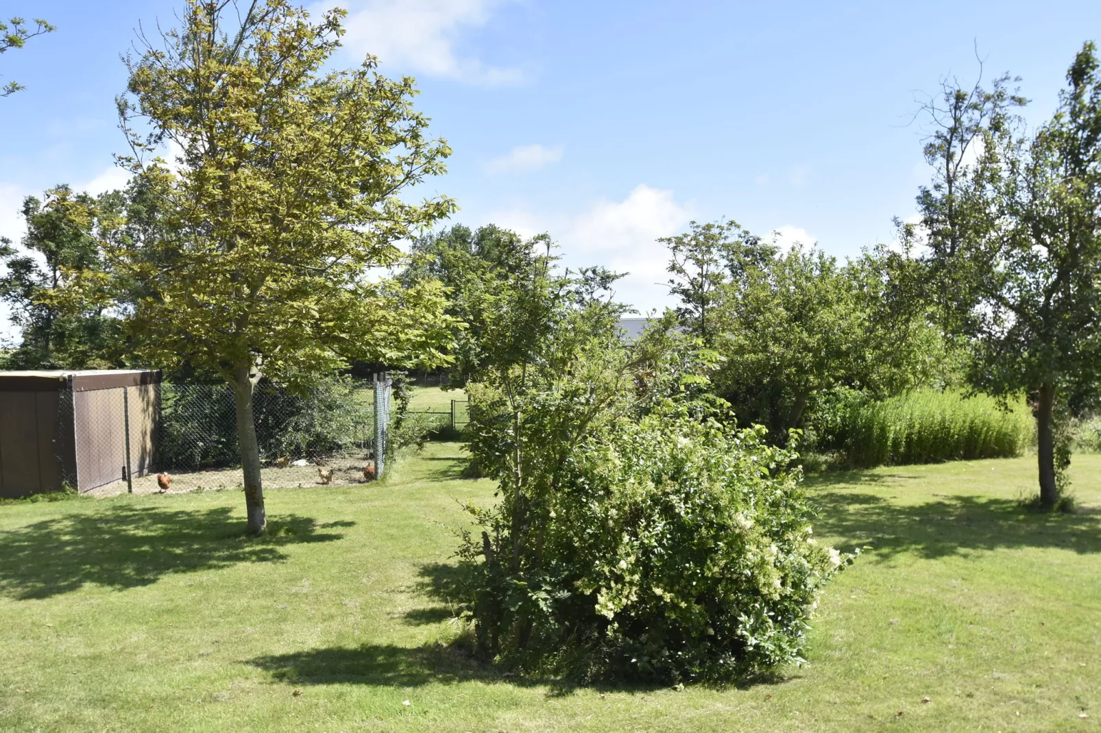 Het Hoge Noorden-Gardens summer