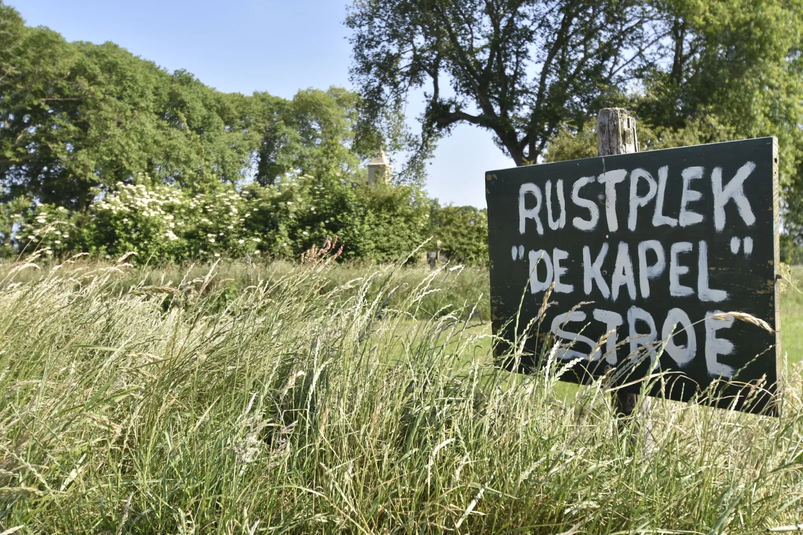Het Hoge Noorden-Areas summer 1km
