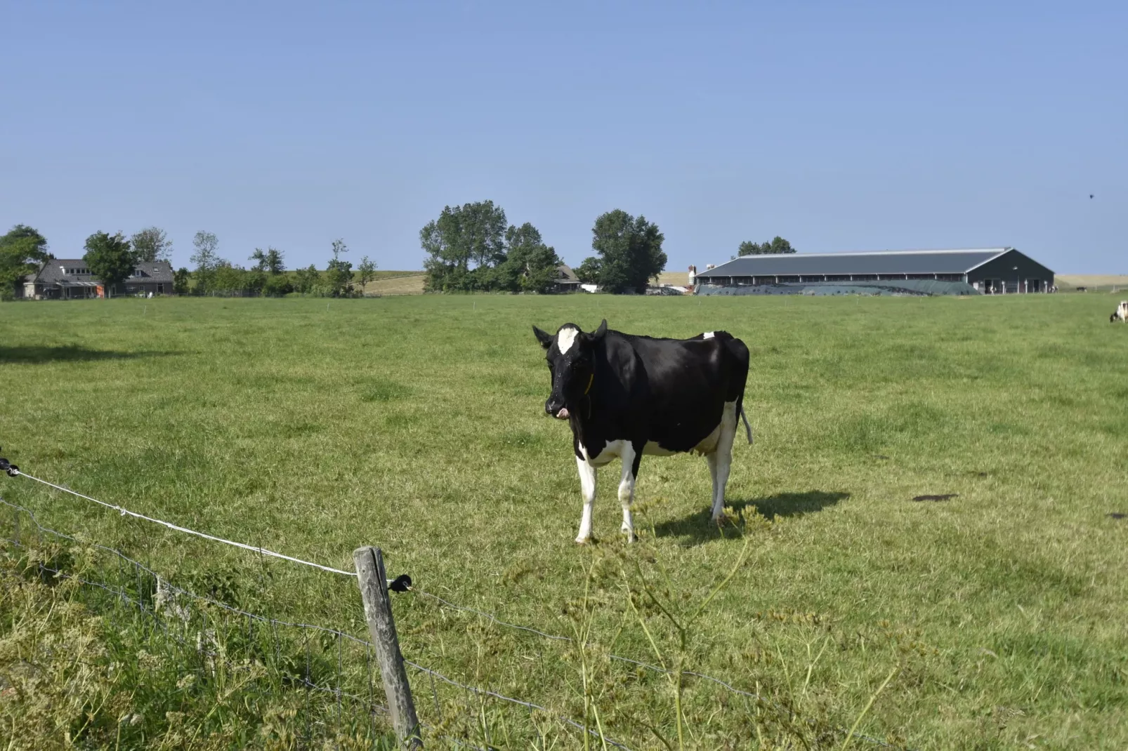 Het Hoge Noorden-Areas summer 1km