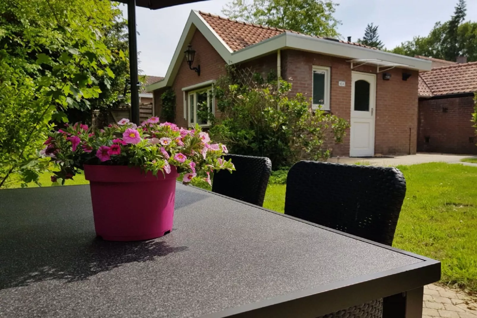 Veluwse Mus-Exterior summer