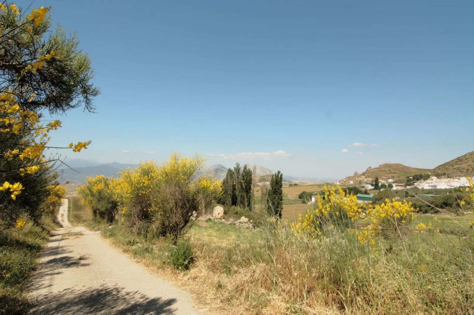 Cortijo Los Olivos-Areas summer 1km