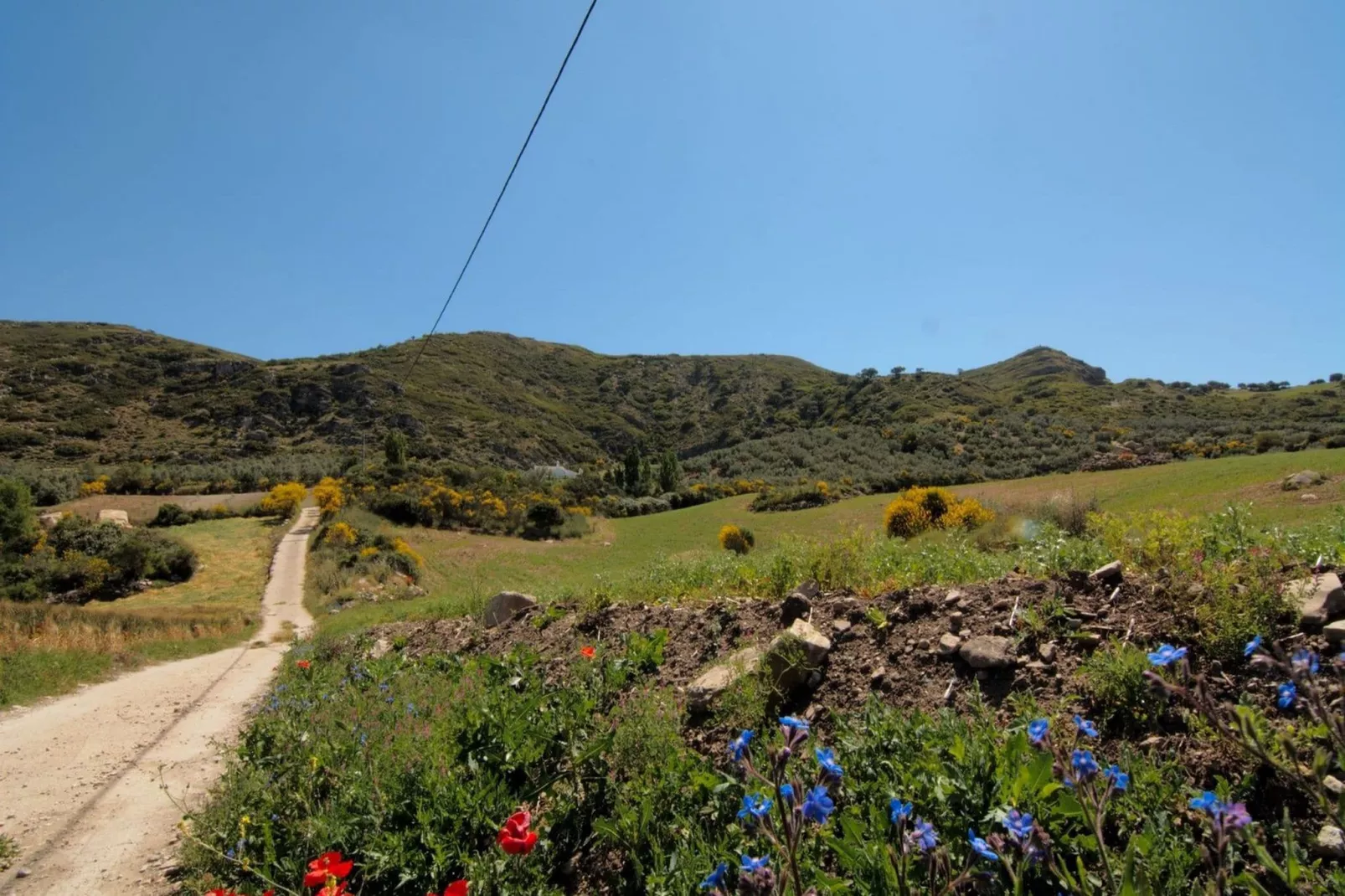 Cortijo Los Olivos-Areas summer 5km