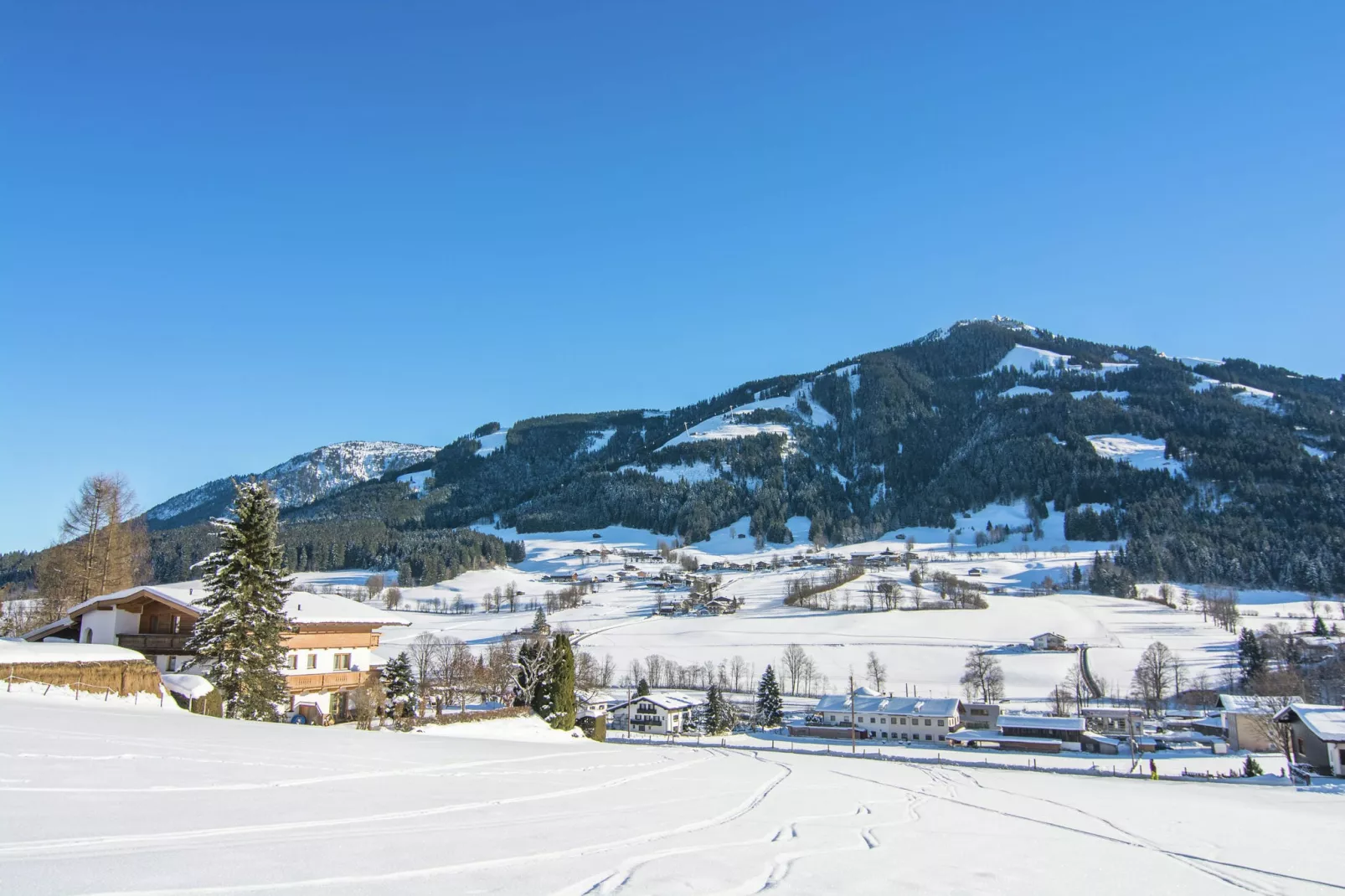 Reinie-Area winter 5km