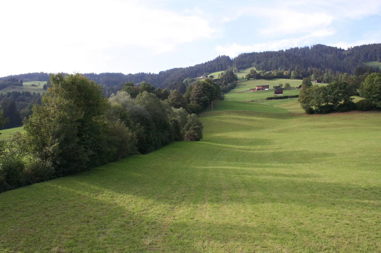 Reinie-View summer