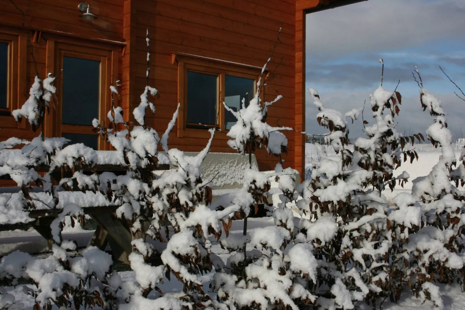 EcoLodge Sauerland 2-Garden winter