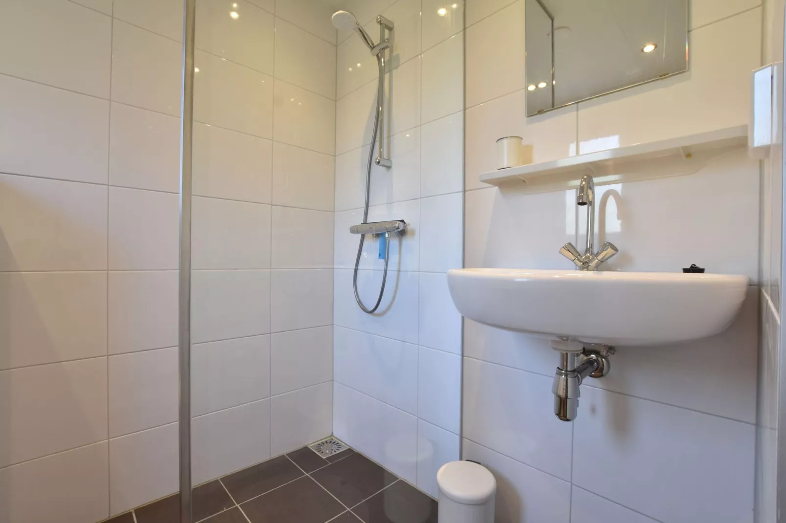 Veluwse Mus-Bathroom