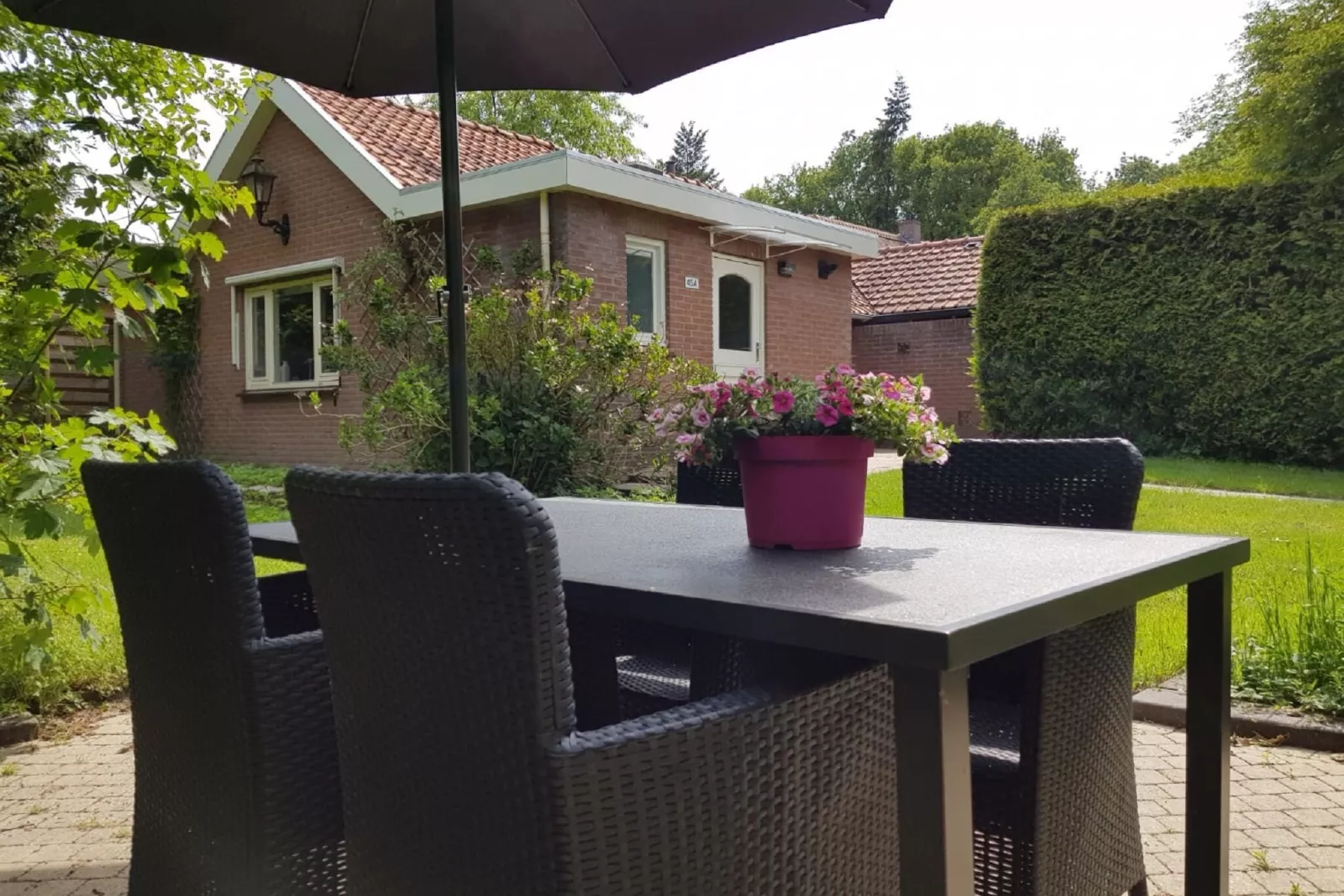 Veluwse Mus-Terrace balcony