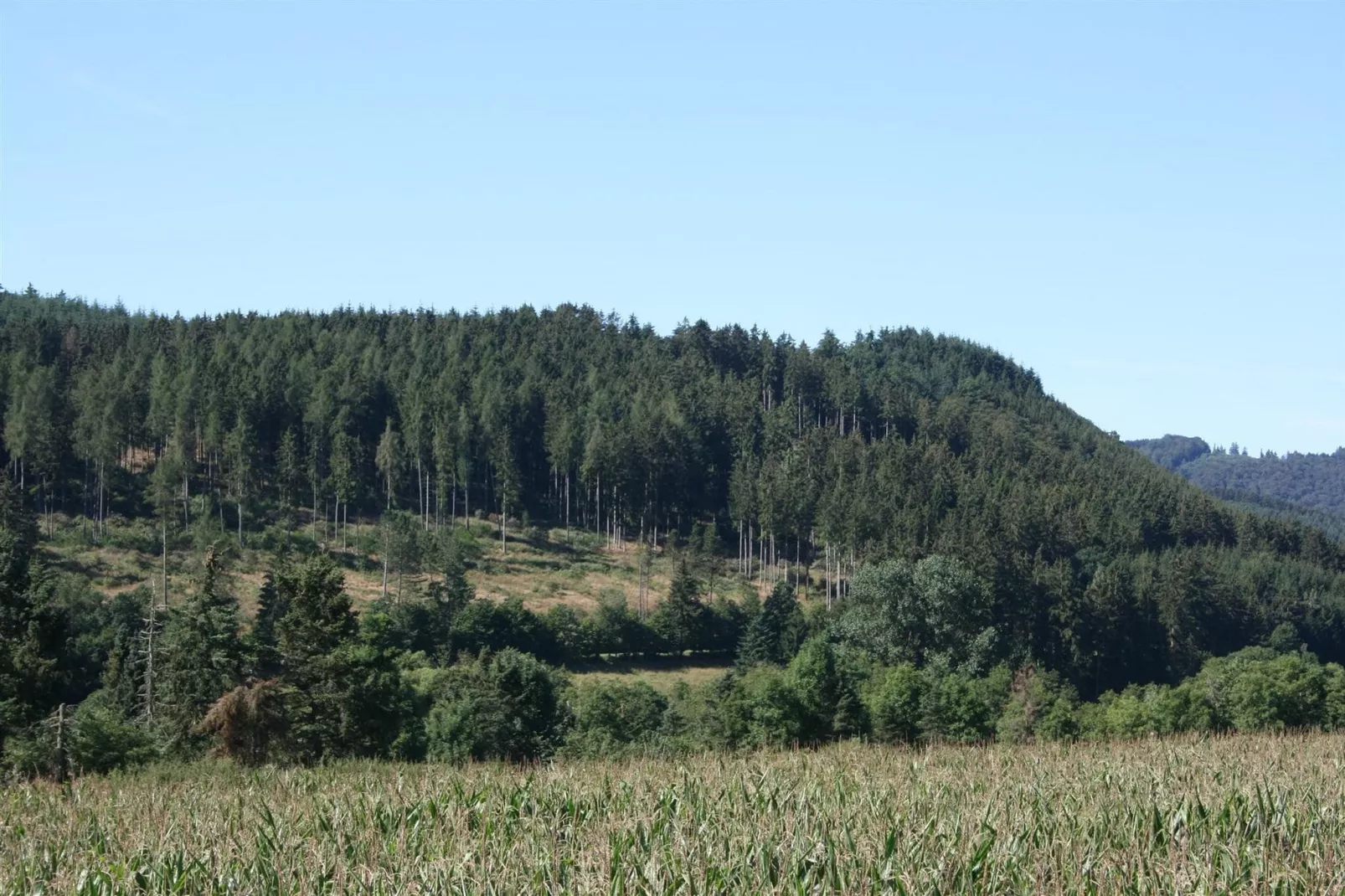 EcoLodge Sauerland 2-View summer