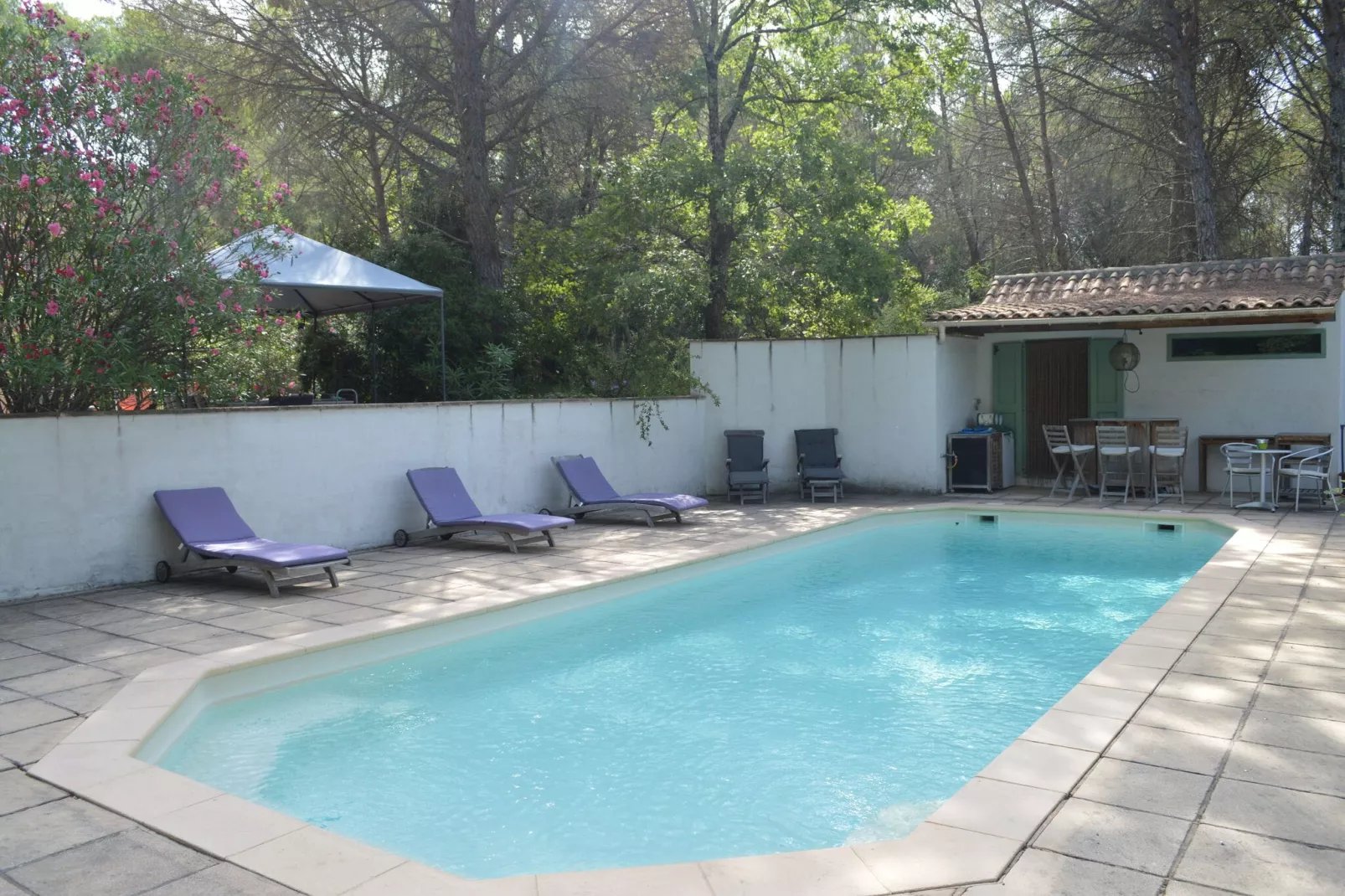 Jonila-Pool