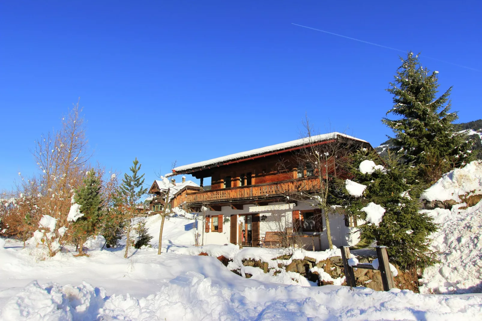 Chalet Leo-Exterior winter