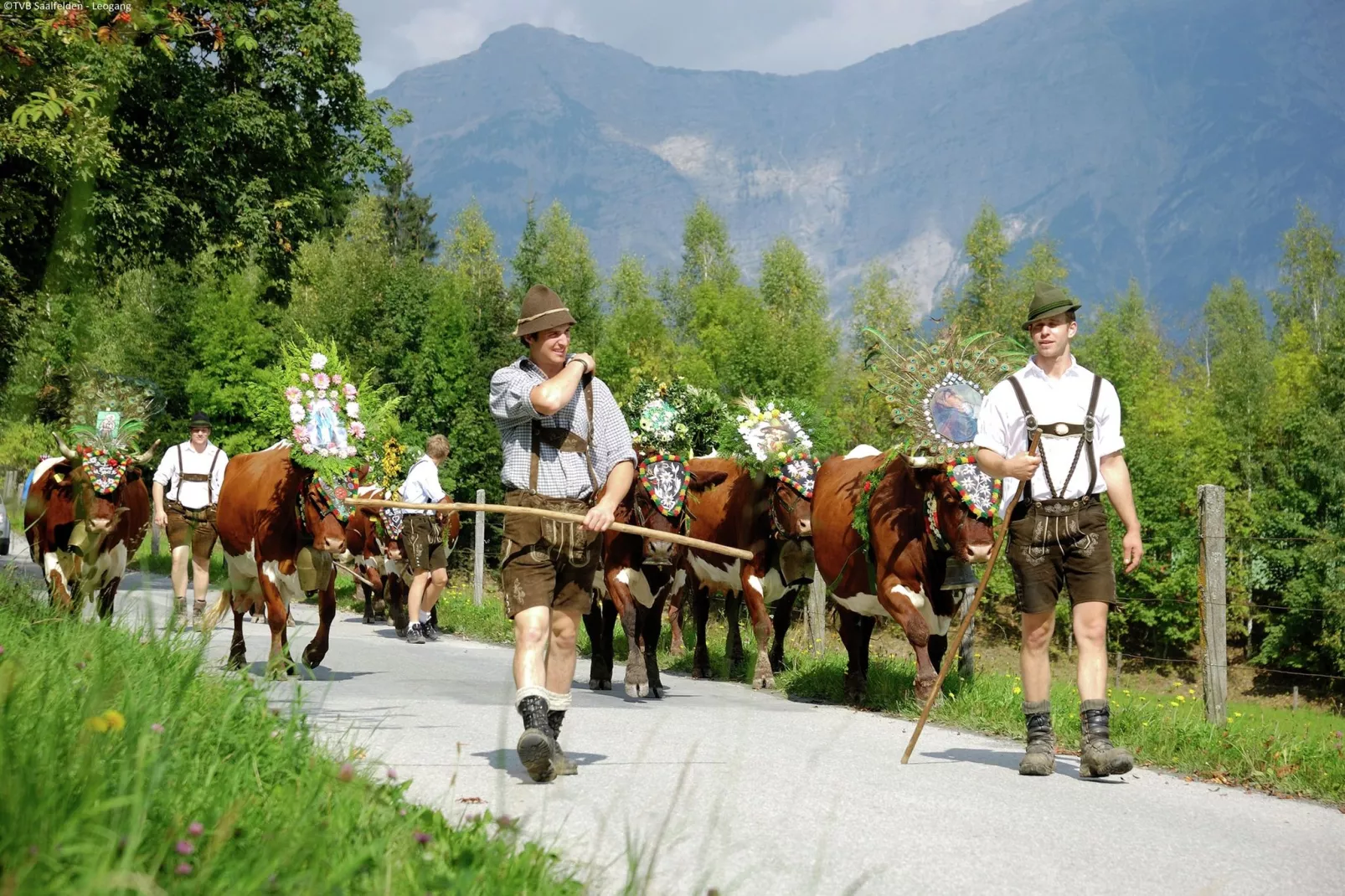 Chalet Ullach XL-Areas summer 5km
