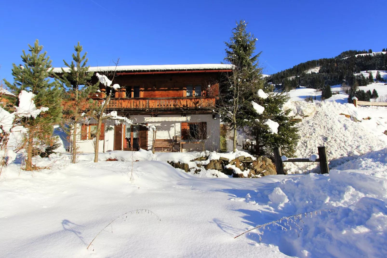 Chalet Leo-Exterior winter