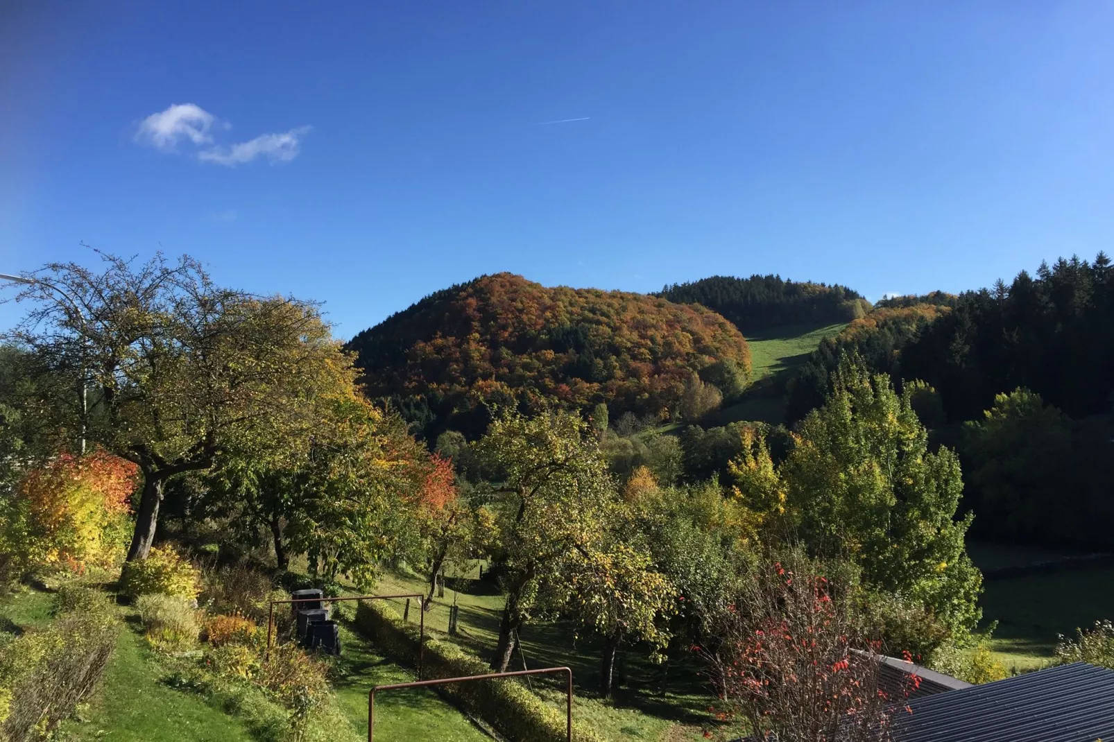 Deifeld-Gärten Sommer
