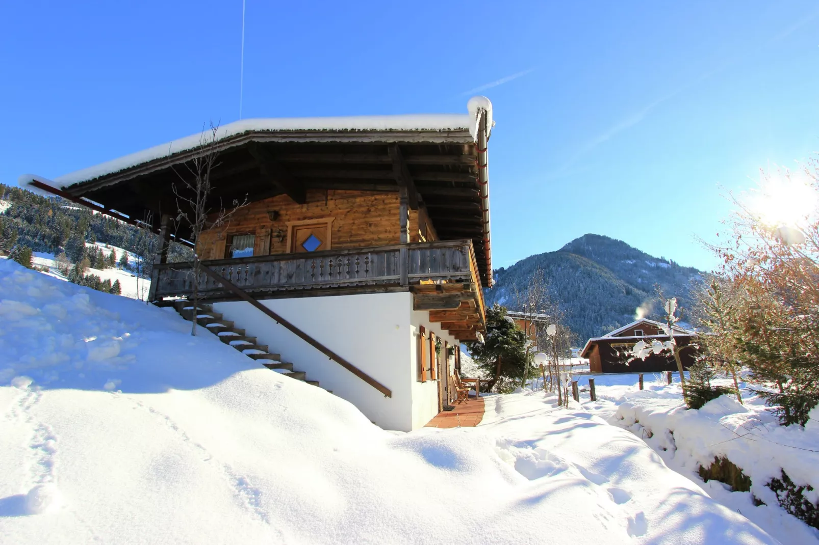 Chalet Leo-Exterior winter