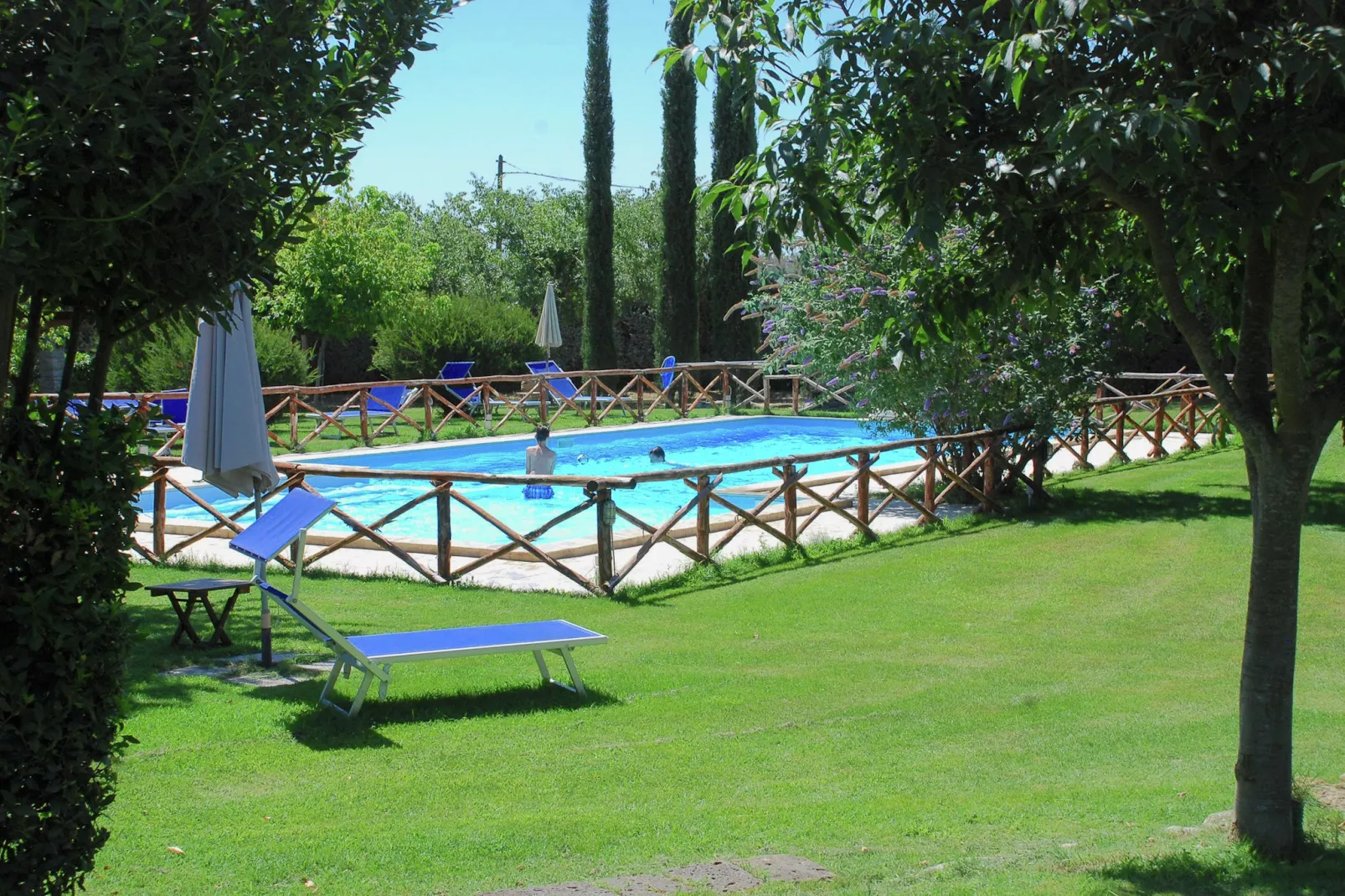Salvia-Pool
