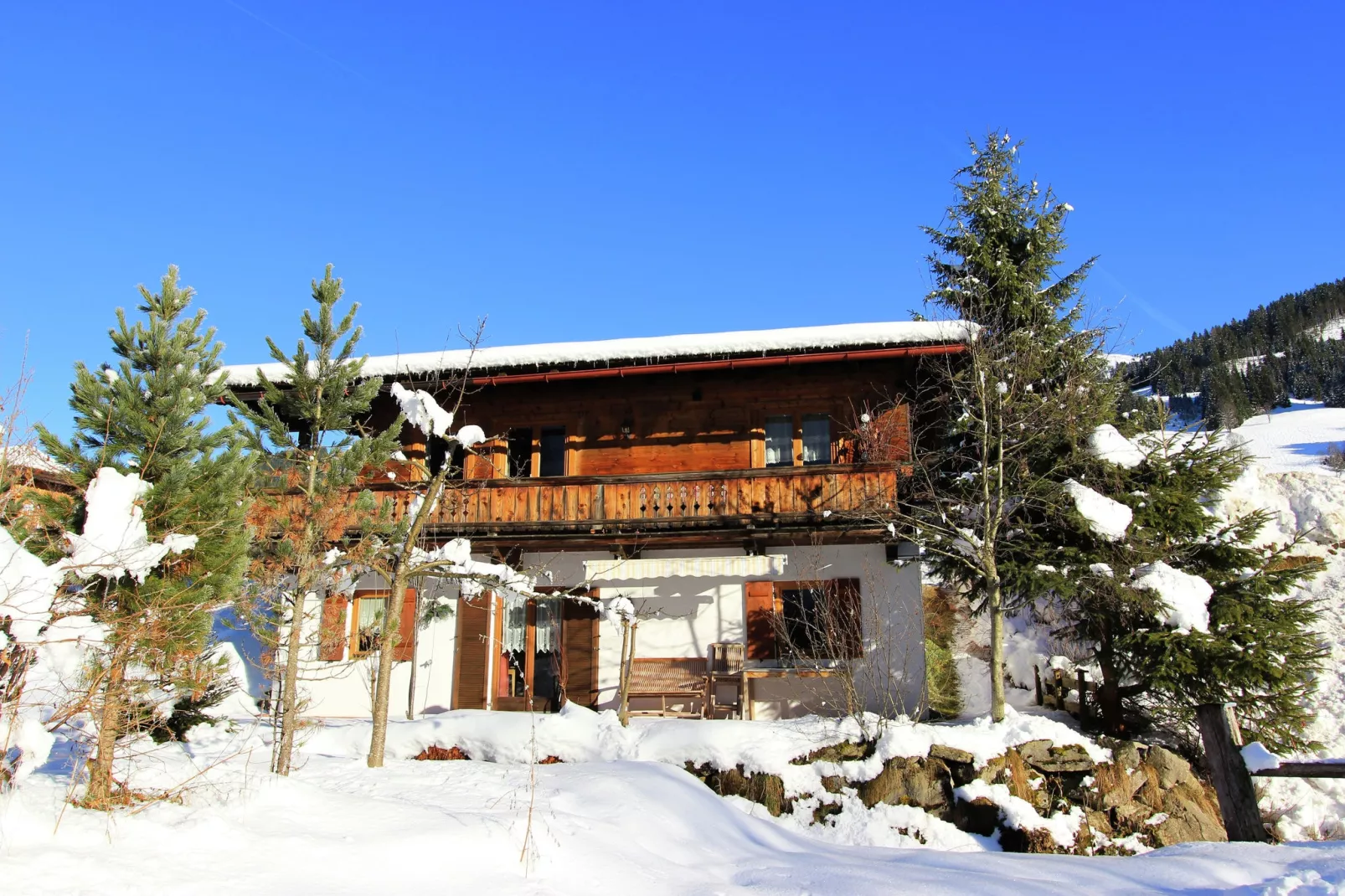 Chalet Leo-Exterior winter