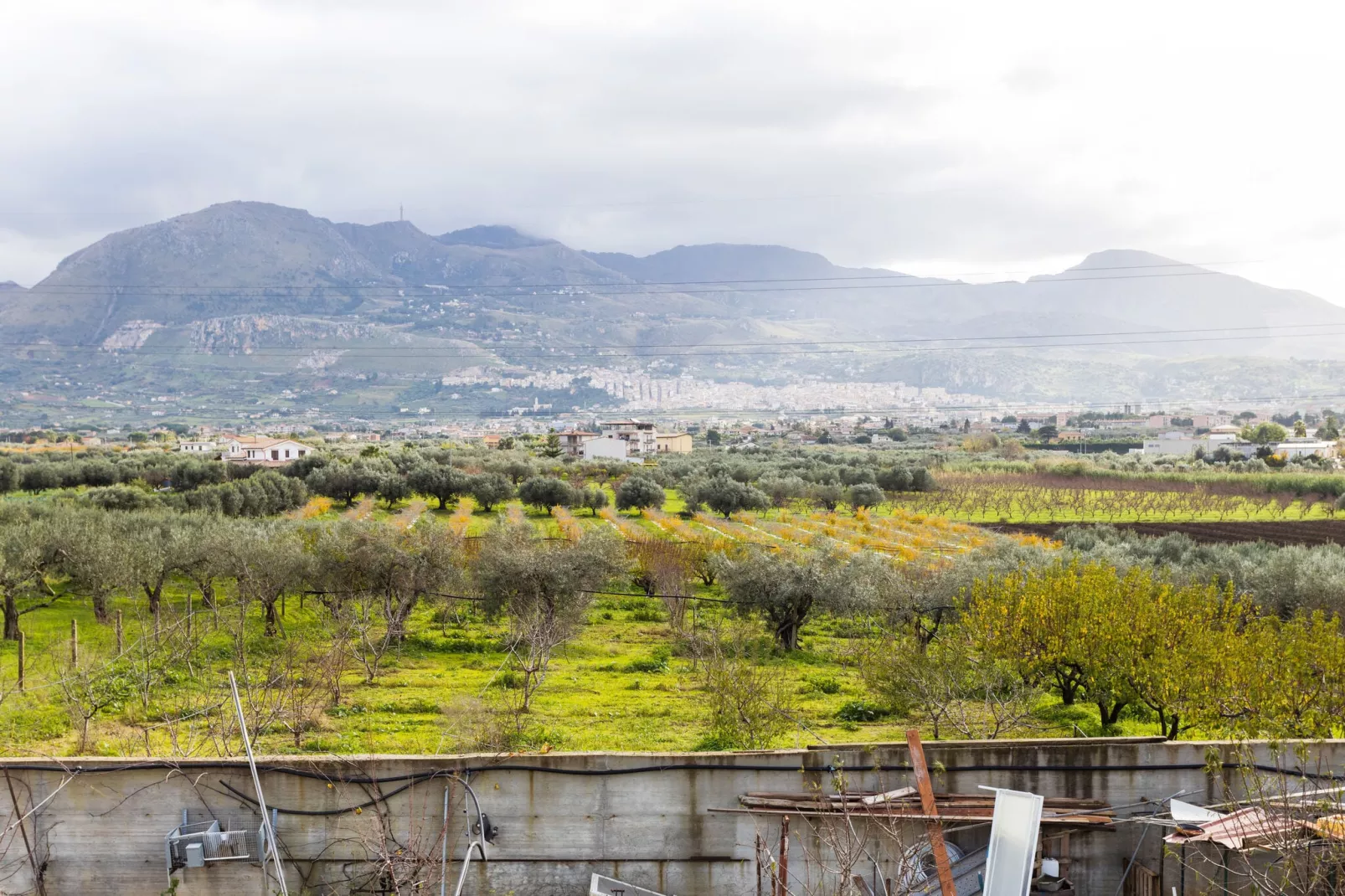 Villa con Piscina - Partinico-View summer