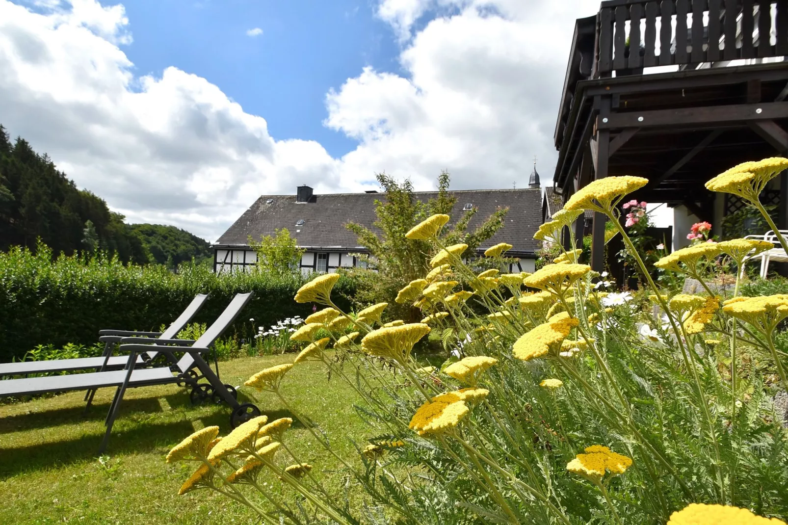 Deifeld-Gärten Sommer
