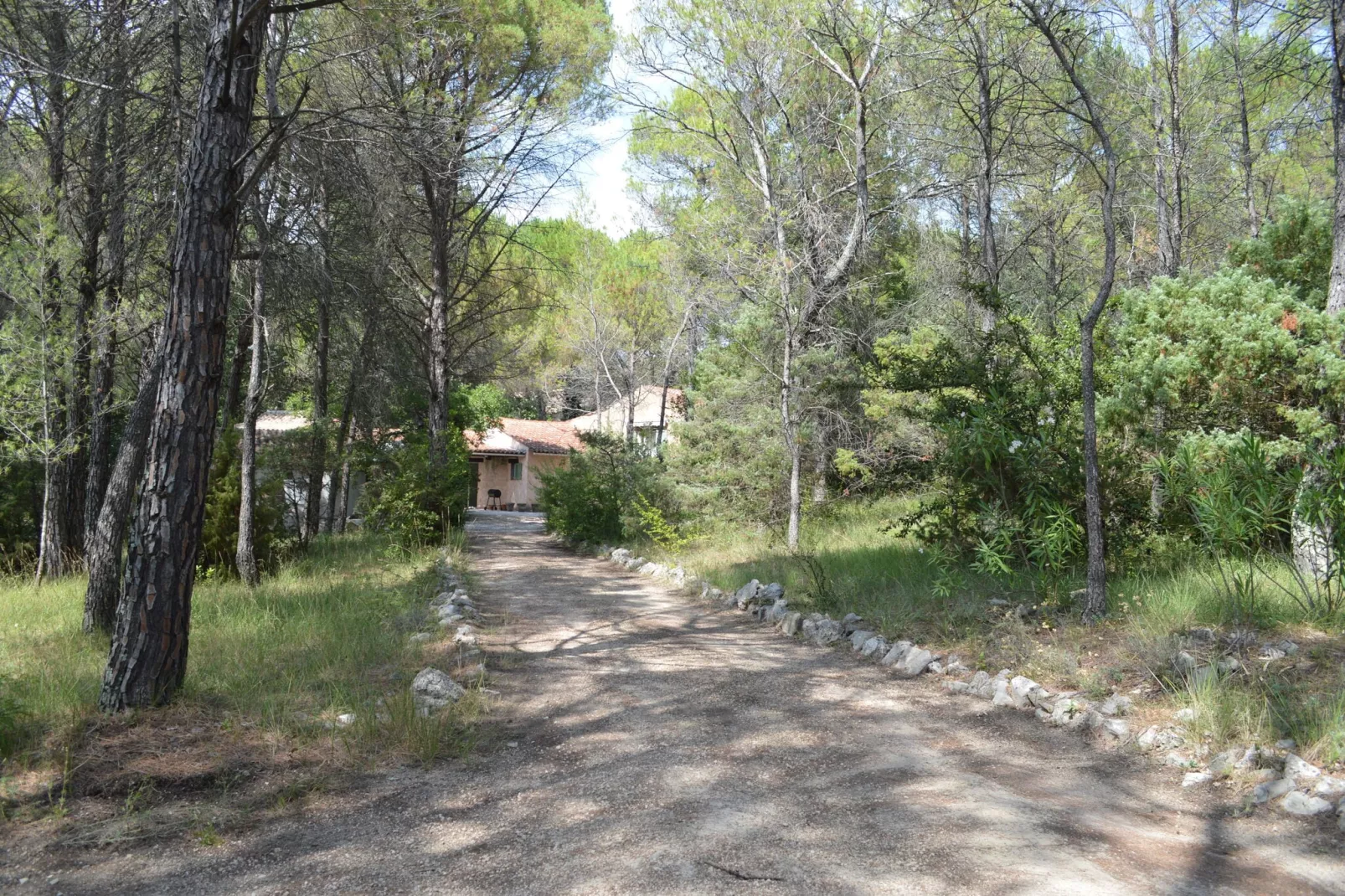 Jonila-Areas summer 1km