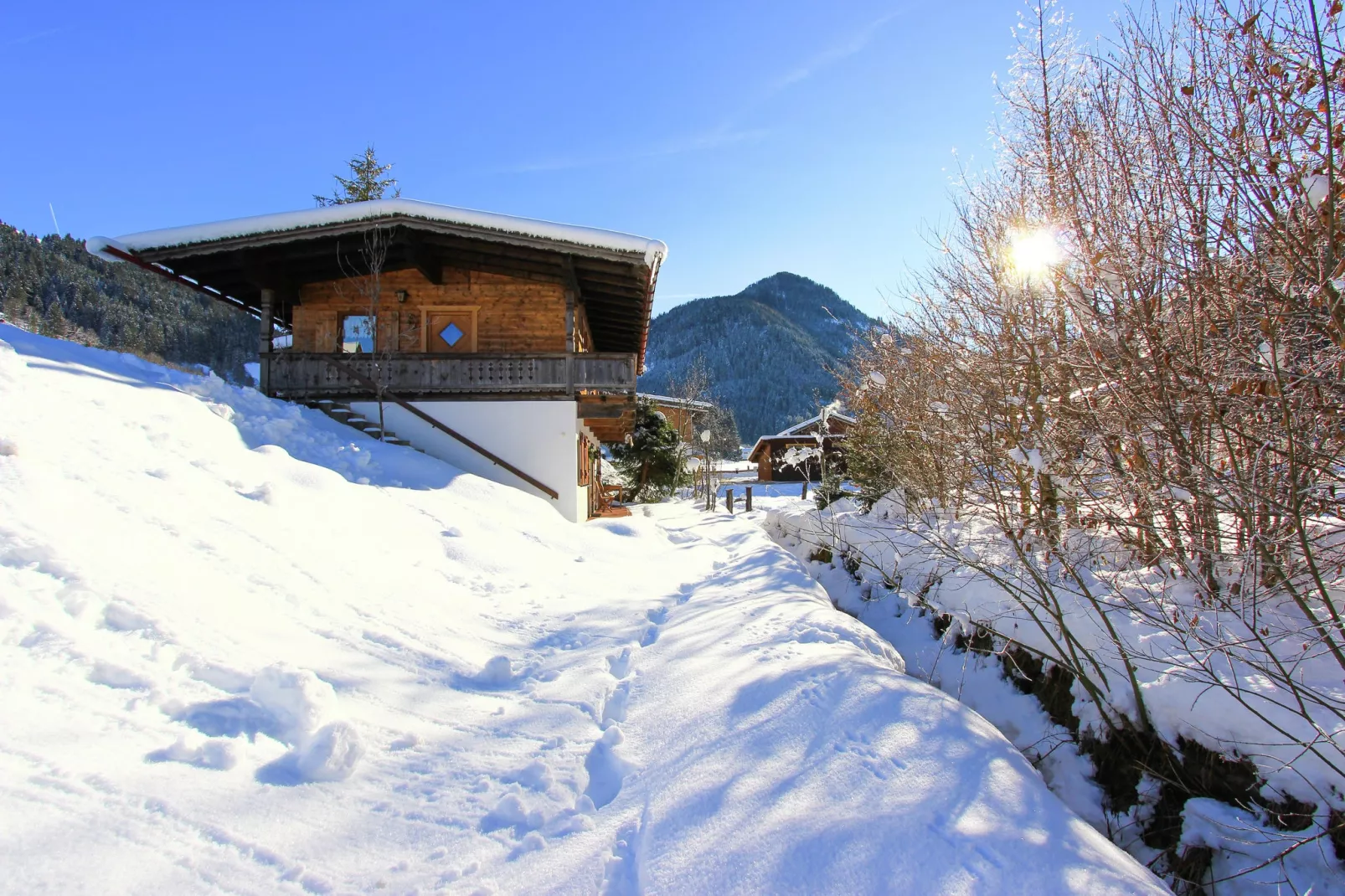 Chalet Leo-Garden winter