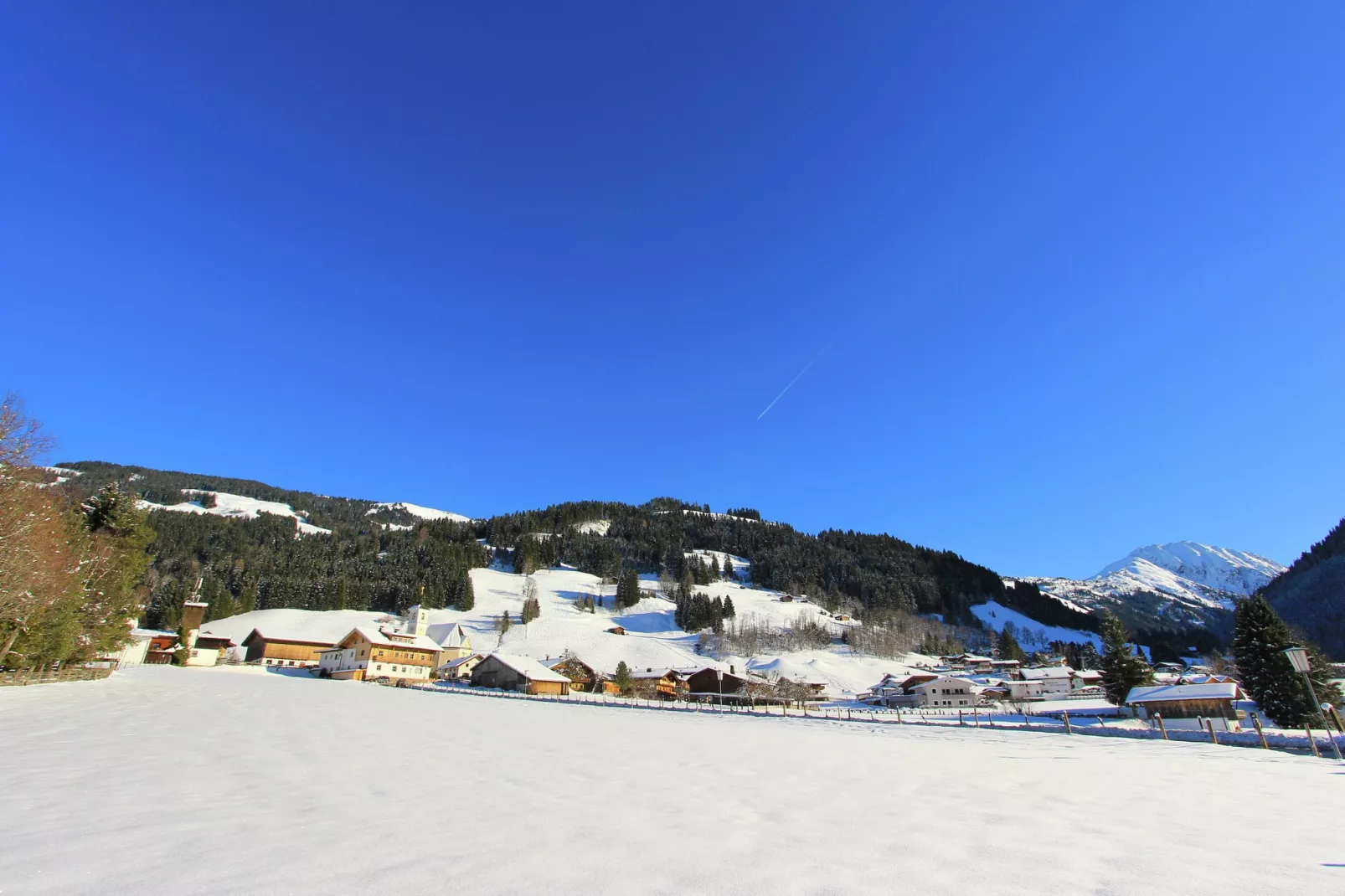 Chalet Leo-Area winter 1km