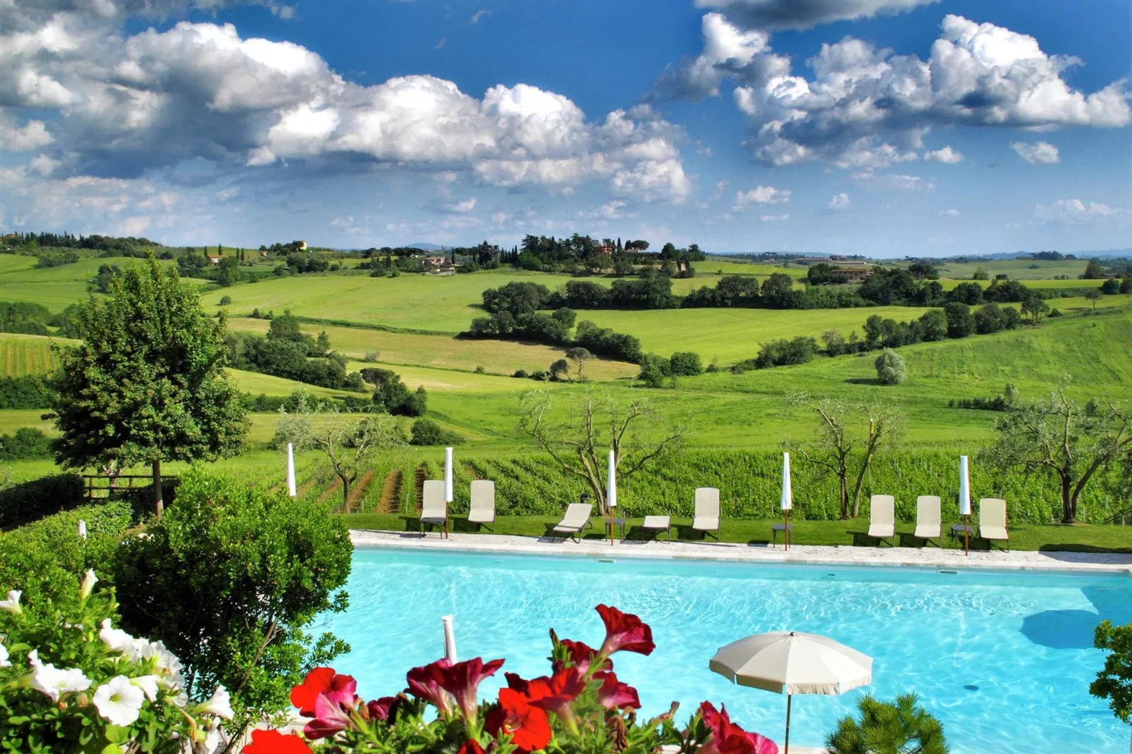 Girasole superior-Piscine