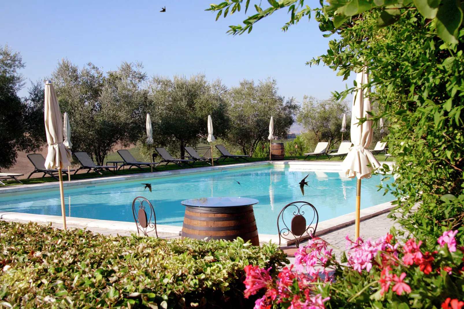 Girasole superior-Piscine