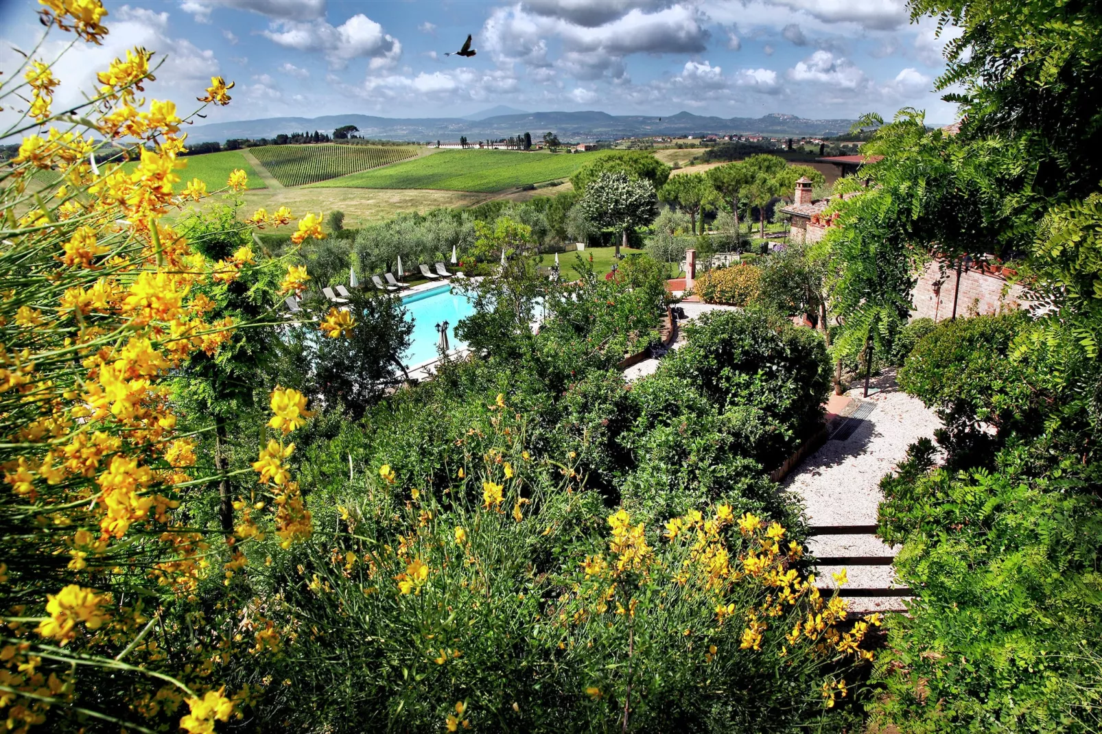 Girasole superior-Piscine
