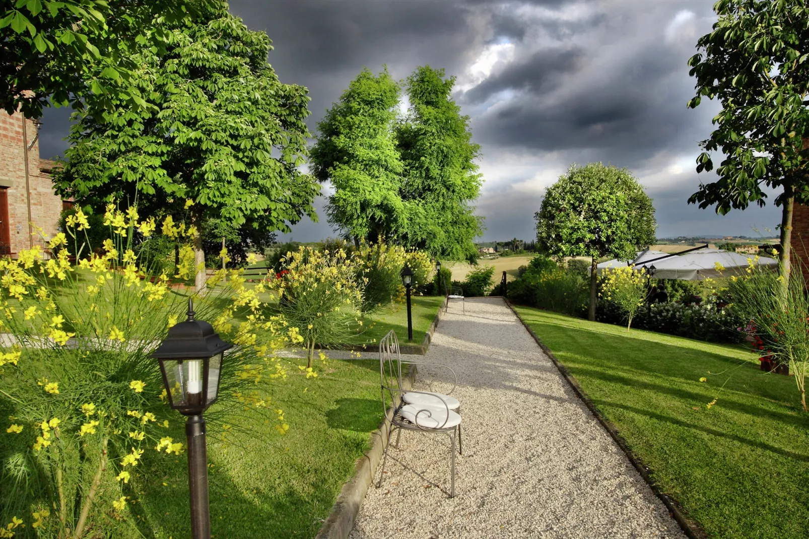 Girasole superior-Jardin d'été
