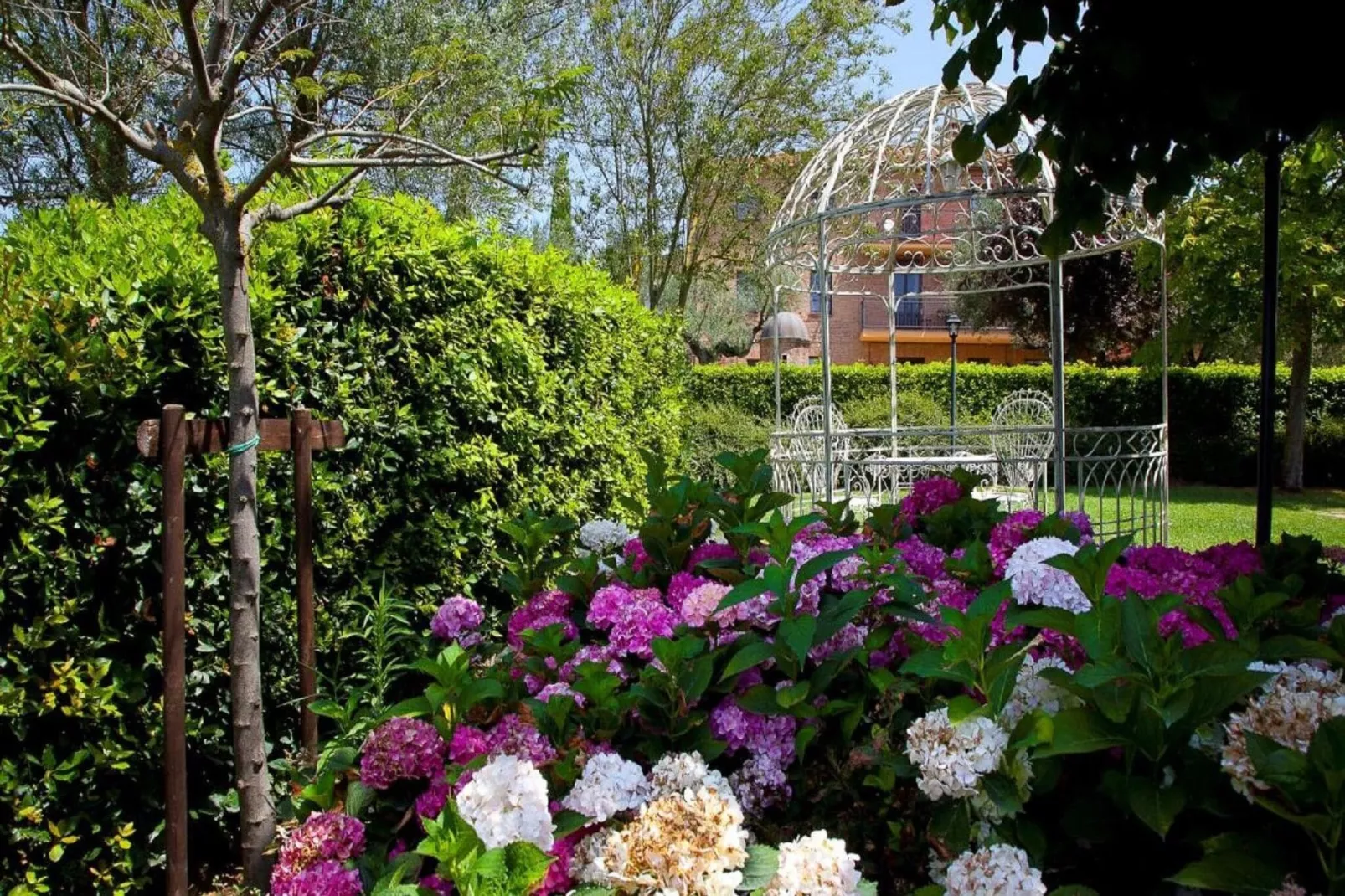 Girasole superior-Jardin d'été
