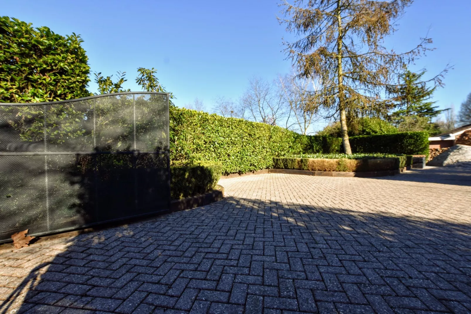 Veluwse Specht-Exterior summer