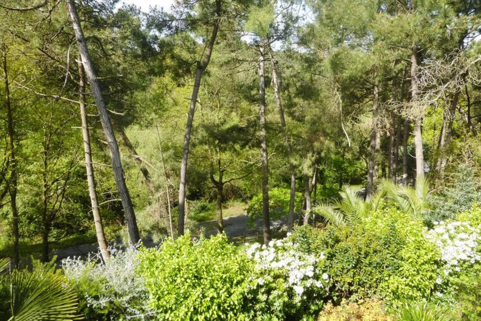 Holiday home Erquy-Gardens summer