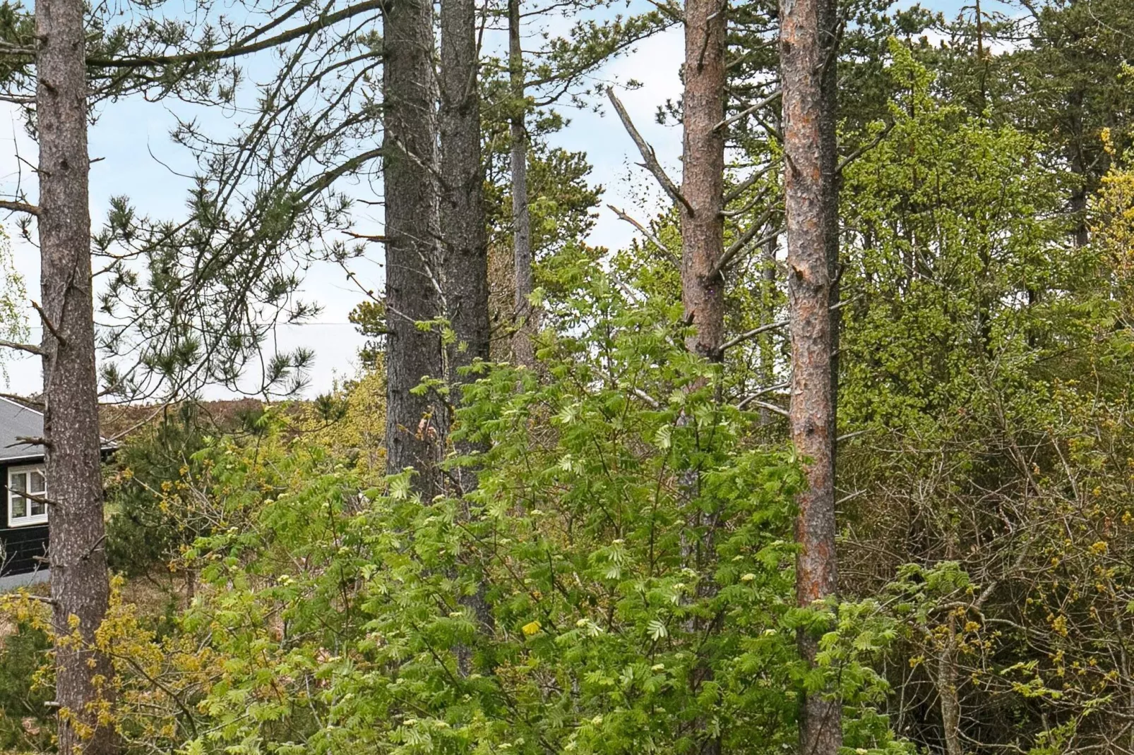 Maison de vacances pour 8 a Læsø