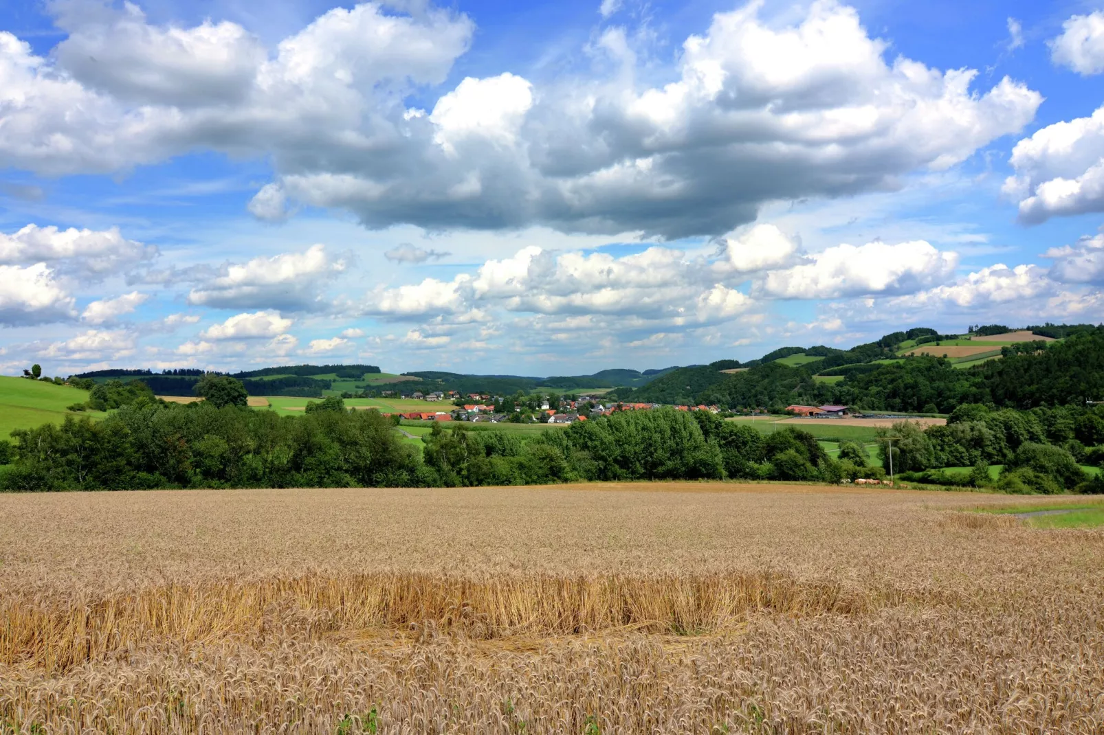 Wissinghausen-Areas summer 5km