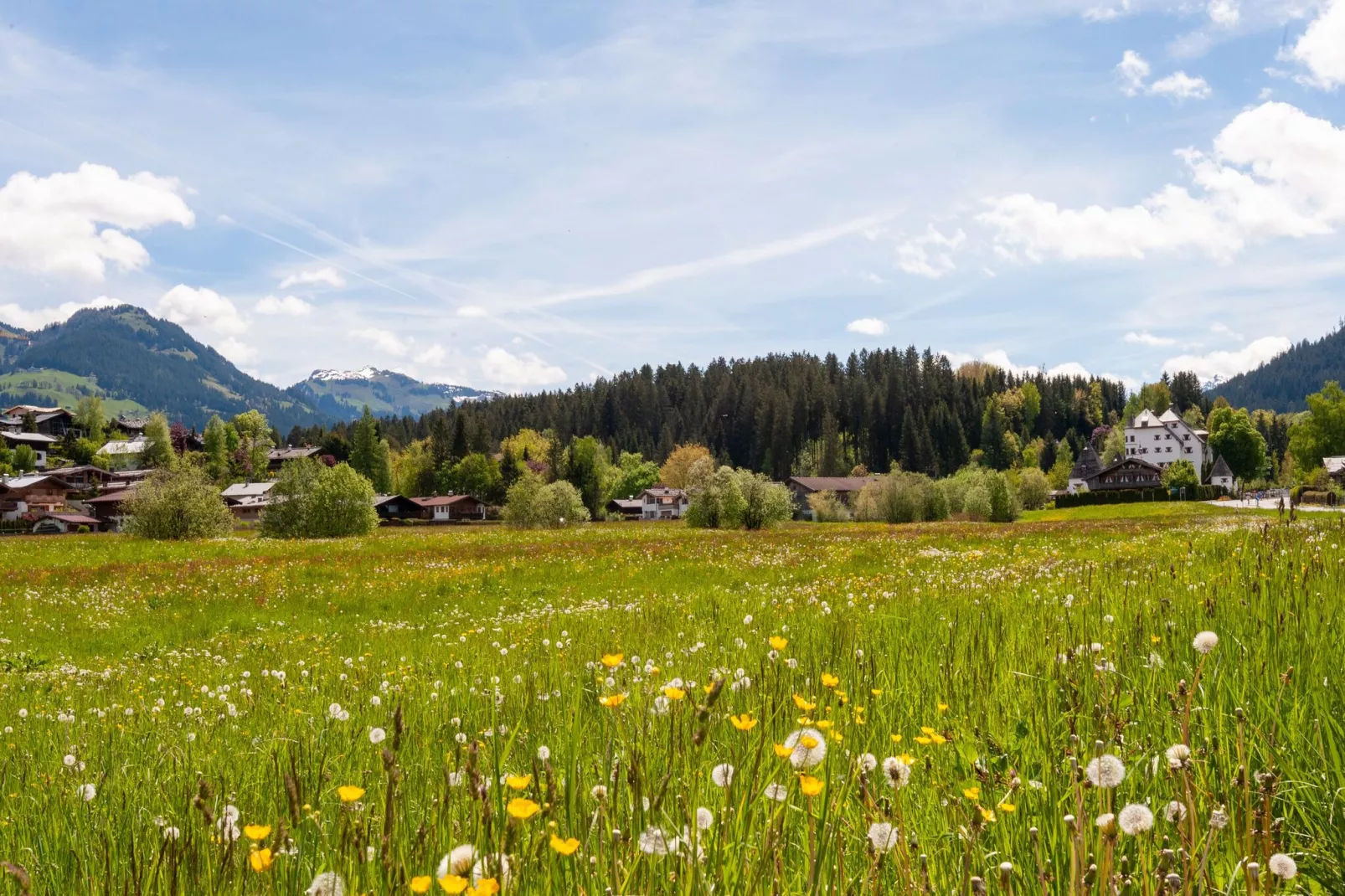 Hölzlbauer-Areas summer 20km